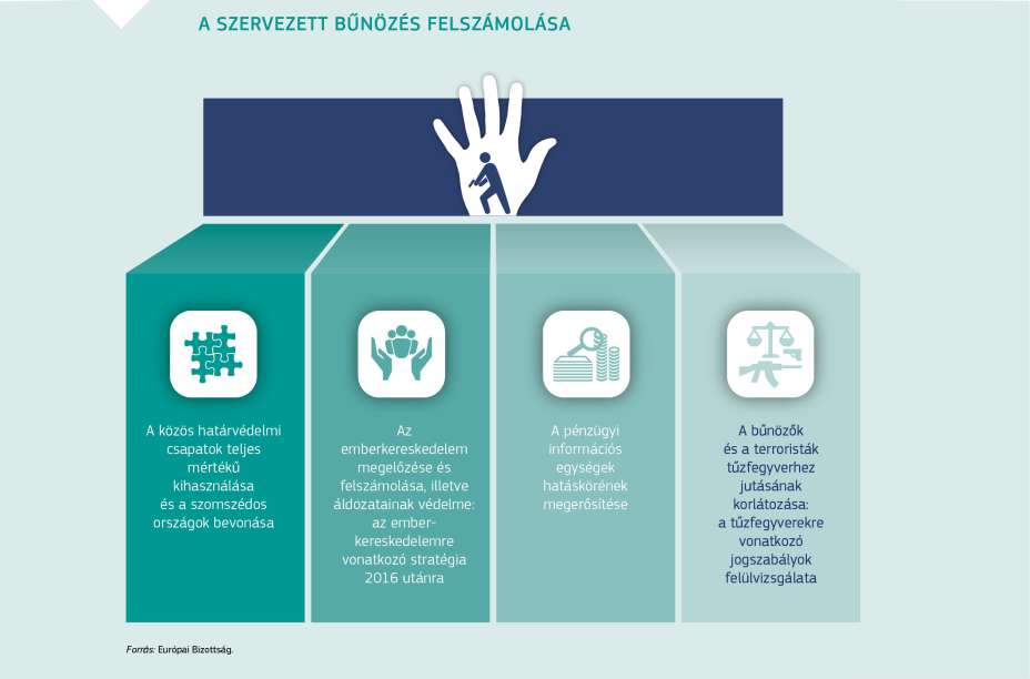 A SZERVEZETT BŰNÖZÉS FELSZÁMOLÁSA