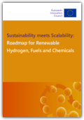 Sustainability and Scalability: The Delicate Balance | Vibepedia