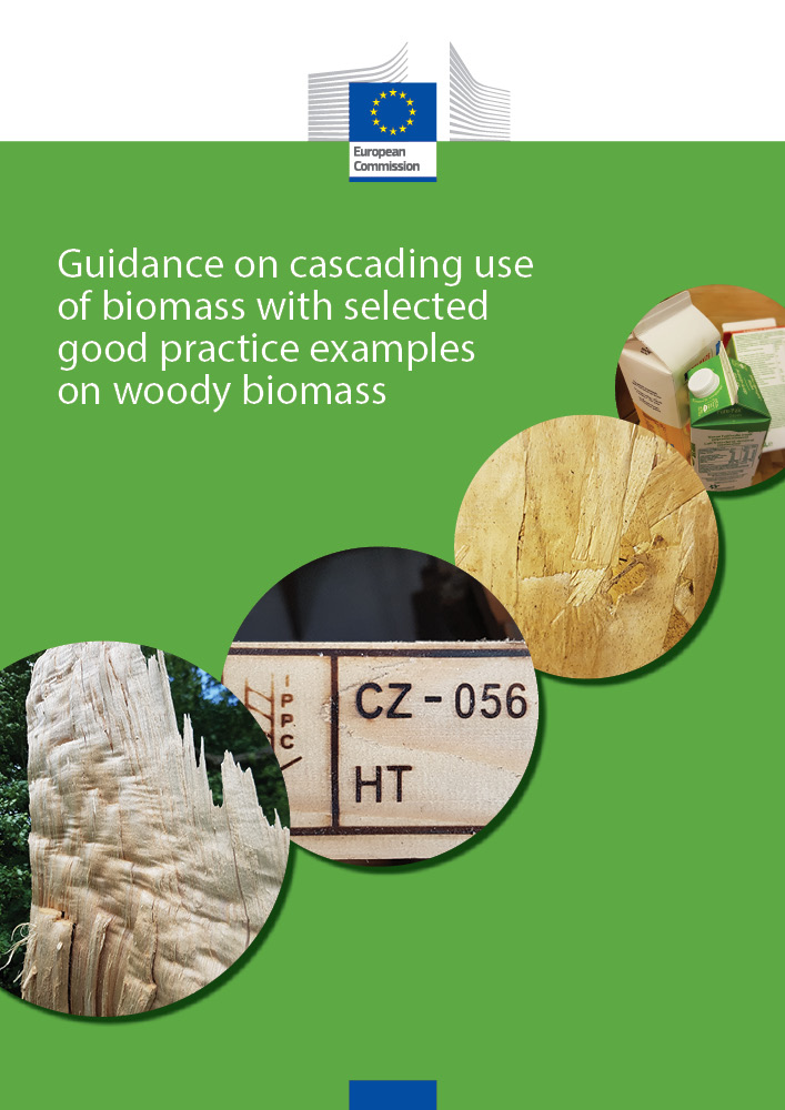 biomass examples