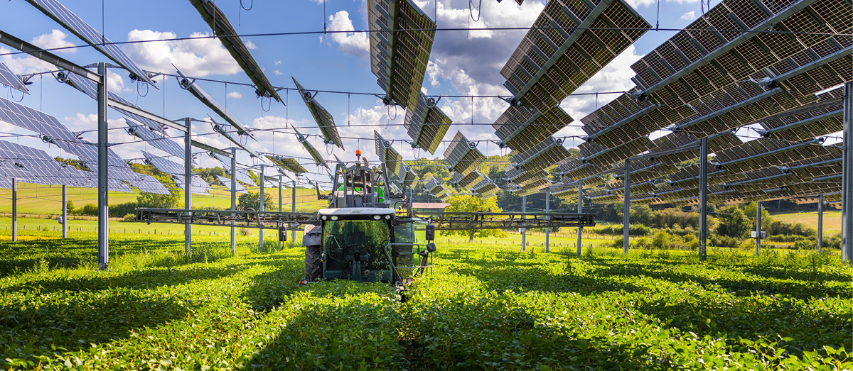 A green field showing crops growing under a large array of solar panels, which are arranged in rows at various angles. A tractor is moving through the field, indicating active farming beneath the panels. The background features a bright blue sky with scattered clouds and rolling hills, showcasing an agri-voltaic system.