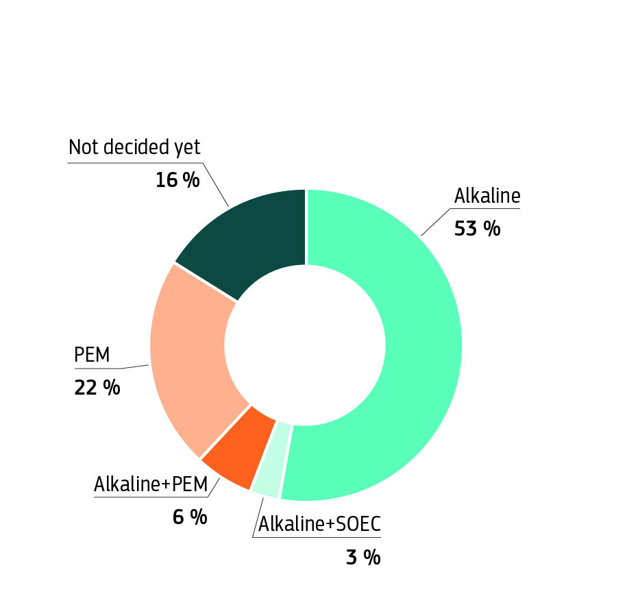 Electrolyser technology intended to be used by projects in the hydrogen cluster
