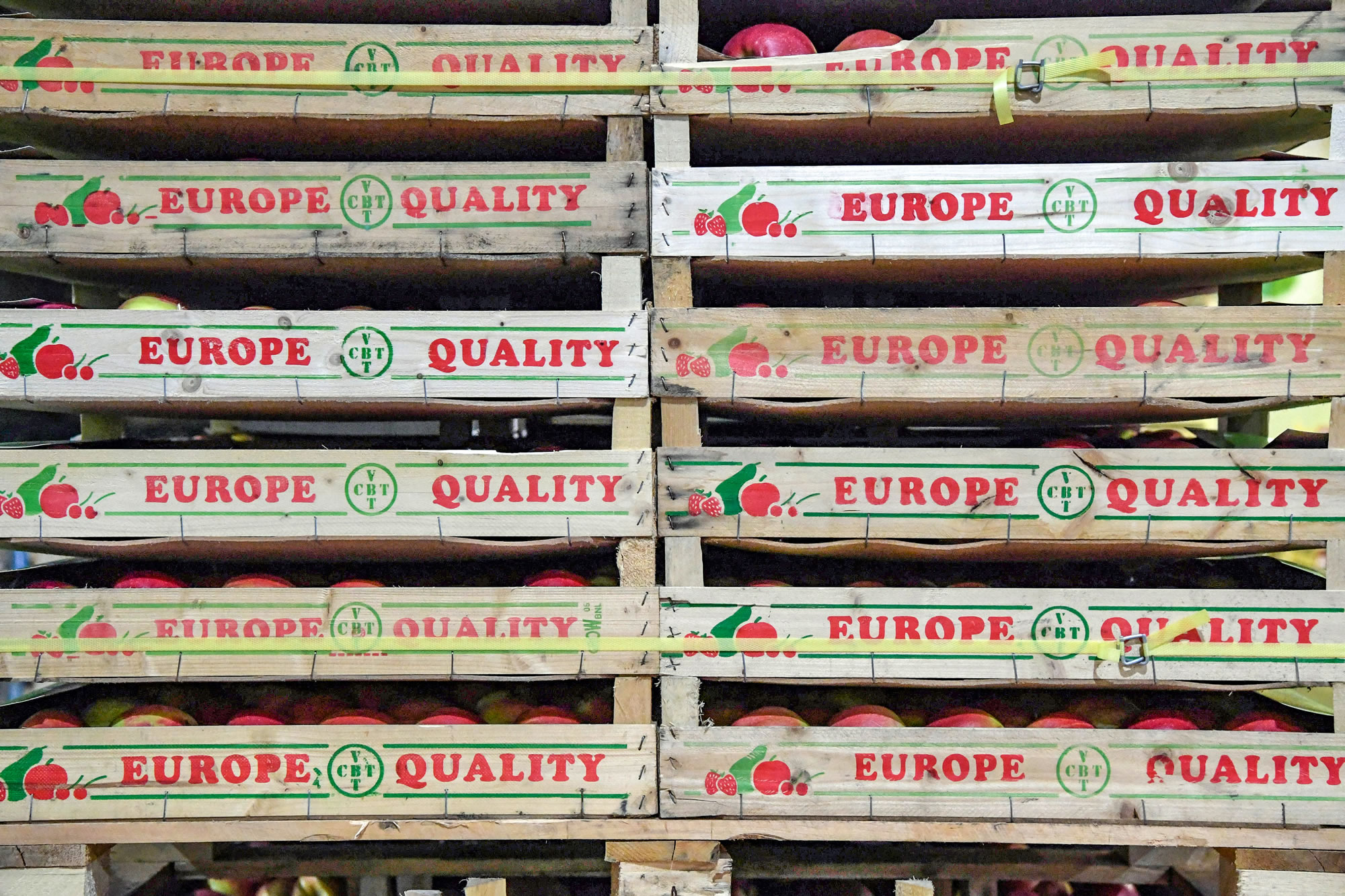 Tři přepravky s jablky položené na sobě, přičemž na každé přepravce je nápis „Europe Quality“.