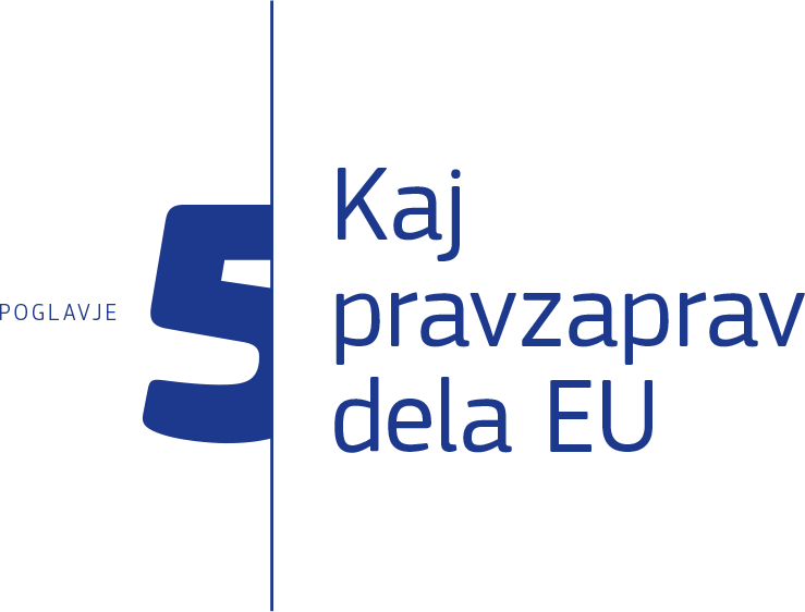 Poglavje 5: Kaj pravzaprav dela EU