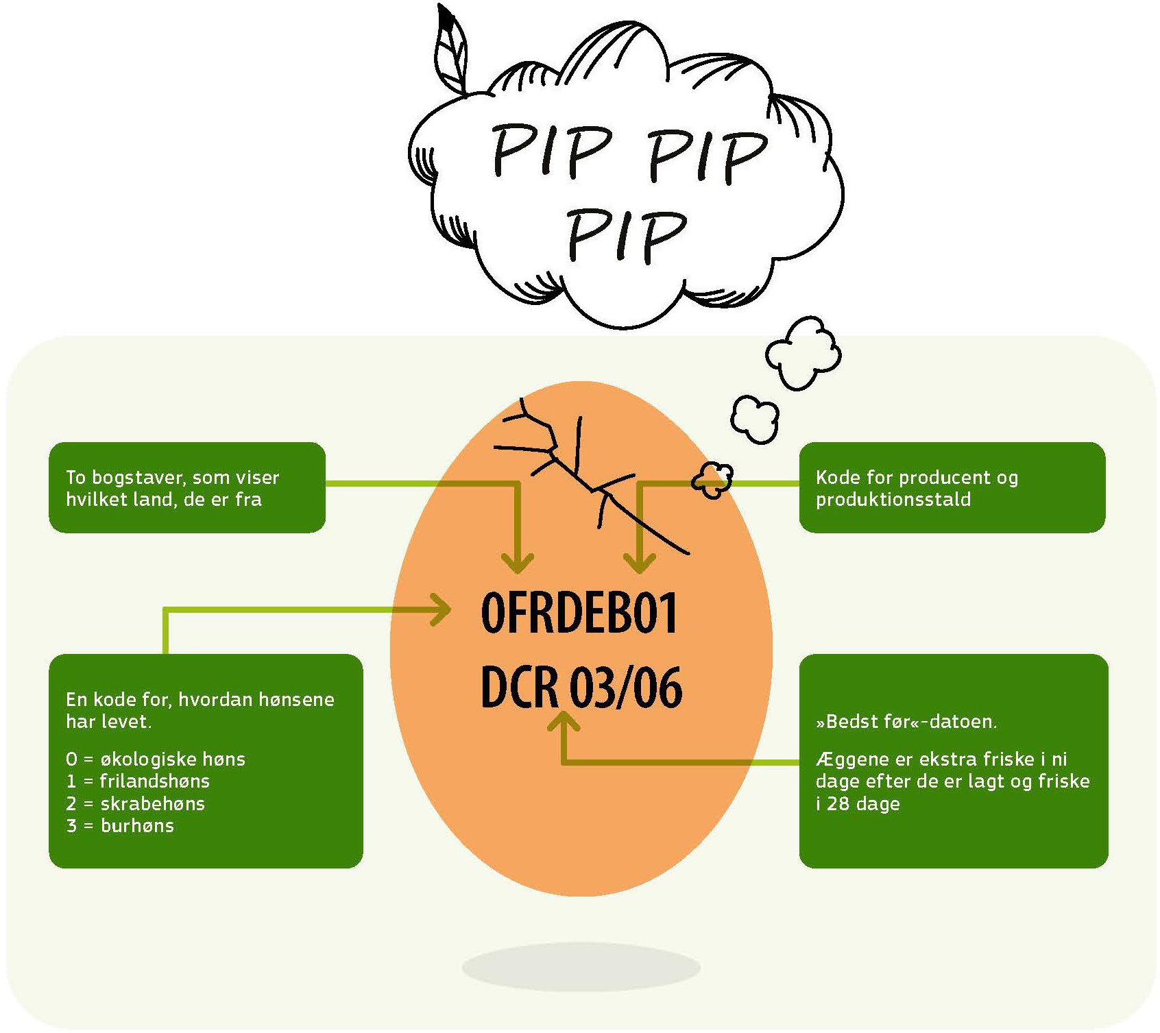 Du kan finde mange oplysninger i stemplet på de æg, du køber i supermarkedet: 
En kode for, hvordan hønsene har levet 
0 = økologiske høns. 
1 = frilandshøns. 
2 = skrabehøns. 
3 = burhøns.
To bogstaver, som viser hvilket land, de er frav.
Kode for producent og produktionsstald.
»Bedst før«-datoen. 
Æggene er ekstra friske i ni dage efter de er lagt og friske i 28 dage.
