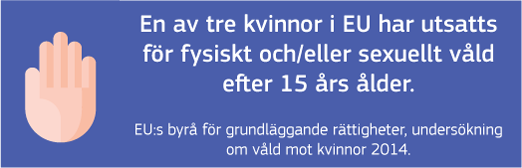 ATT STOPPA VÅLDET MOT KVINNOR