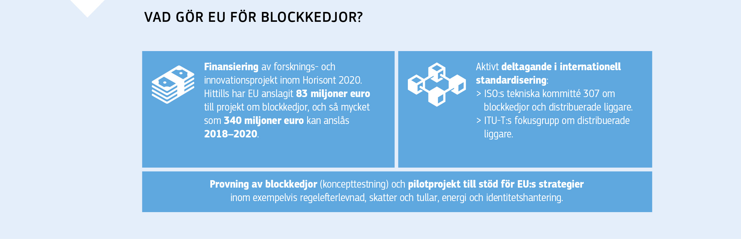 VAD GÖR EU FÖR BLOCKKEDJOR?