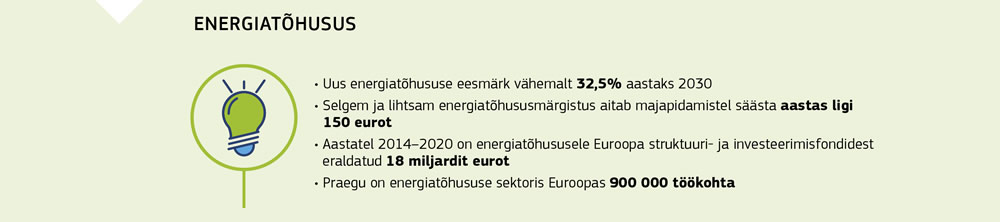 Euroopa Liidu energiatõhususe meetmete kokkuvõte