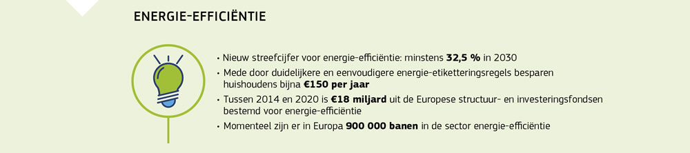Een overzicht van de acties op het gebied van energie-efficiëntie in de Europese Unie