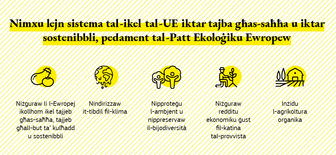 Infografika li telenka l-għanijiet differenti tal-Istrateġija Mill-Għalqa sal-Platt.