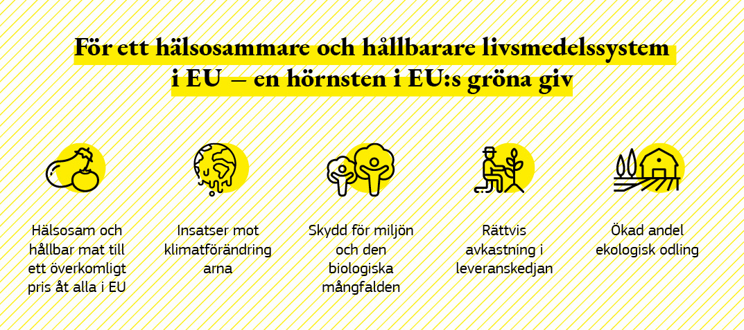 En infografik med en förteckning över de olika målen i strategin från jord till bord.