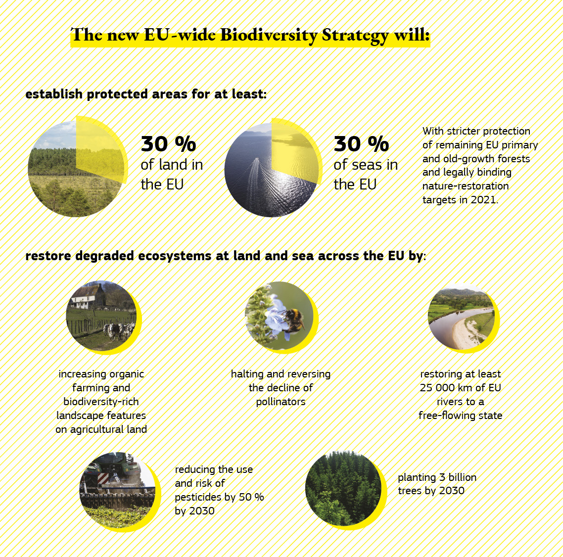 An infographic showing what the Biodiversity Strategy will achieve.
