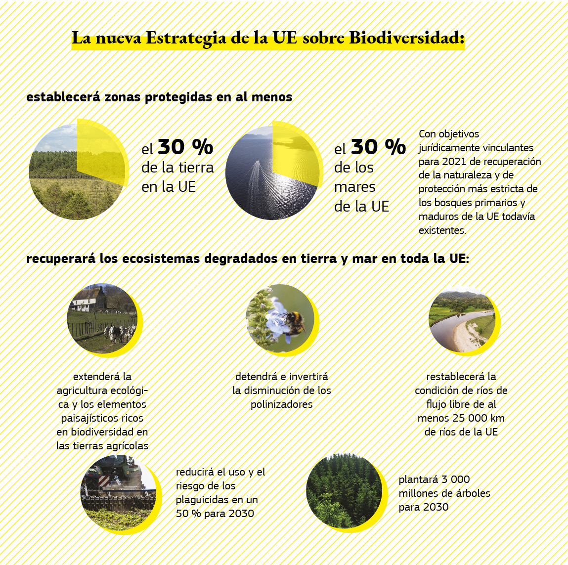 Infografía que muestra los futuros logros de la Estrategia sobre la Biodiversidad.