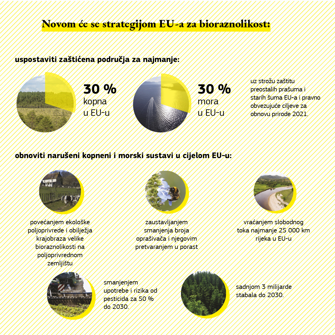 Infografika koja prikazuje što će se postići strategijom za bioraznolikost.