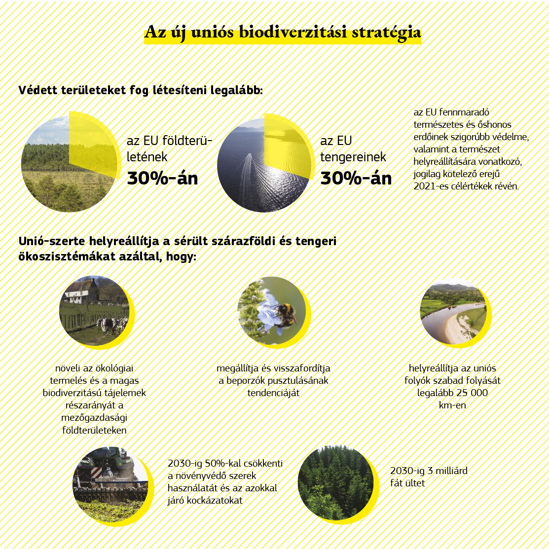 A biodiverzitási stratégia célkitűzéseit bemutató infografika.