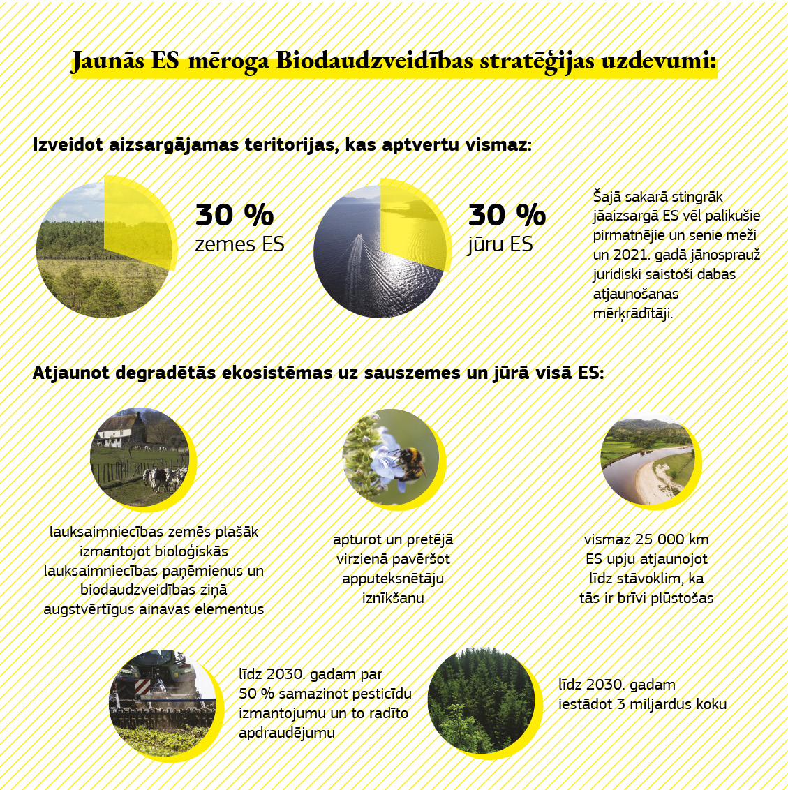 Infografika, kurā parādīts, ko panāks ar Biodaudzveidības stratēģiju.