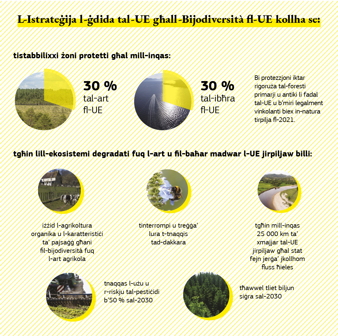 Infografika li turi x’se tikseb l-Istrateġija għall-Bijodiversità.