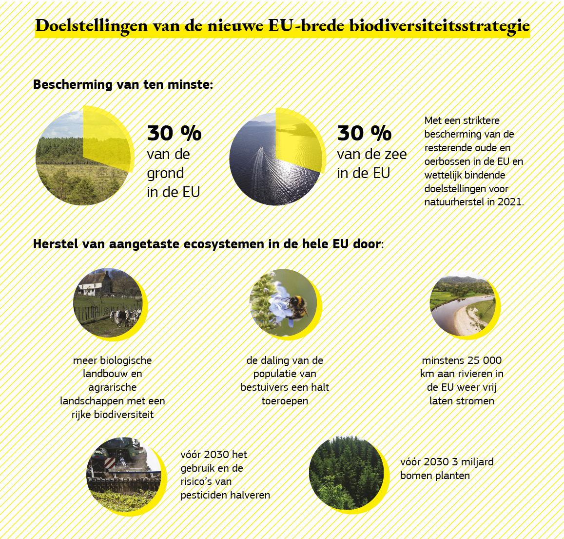 Infografiek met de doelstellingen van de biodiversiteitsstrategie.