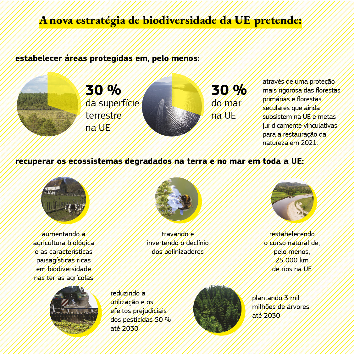 Esta infografia mostra os objetivos da estratégia de biodiversidade.