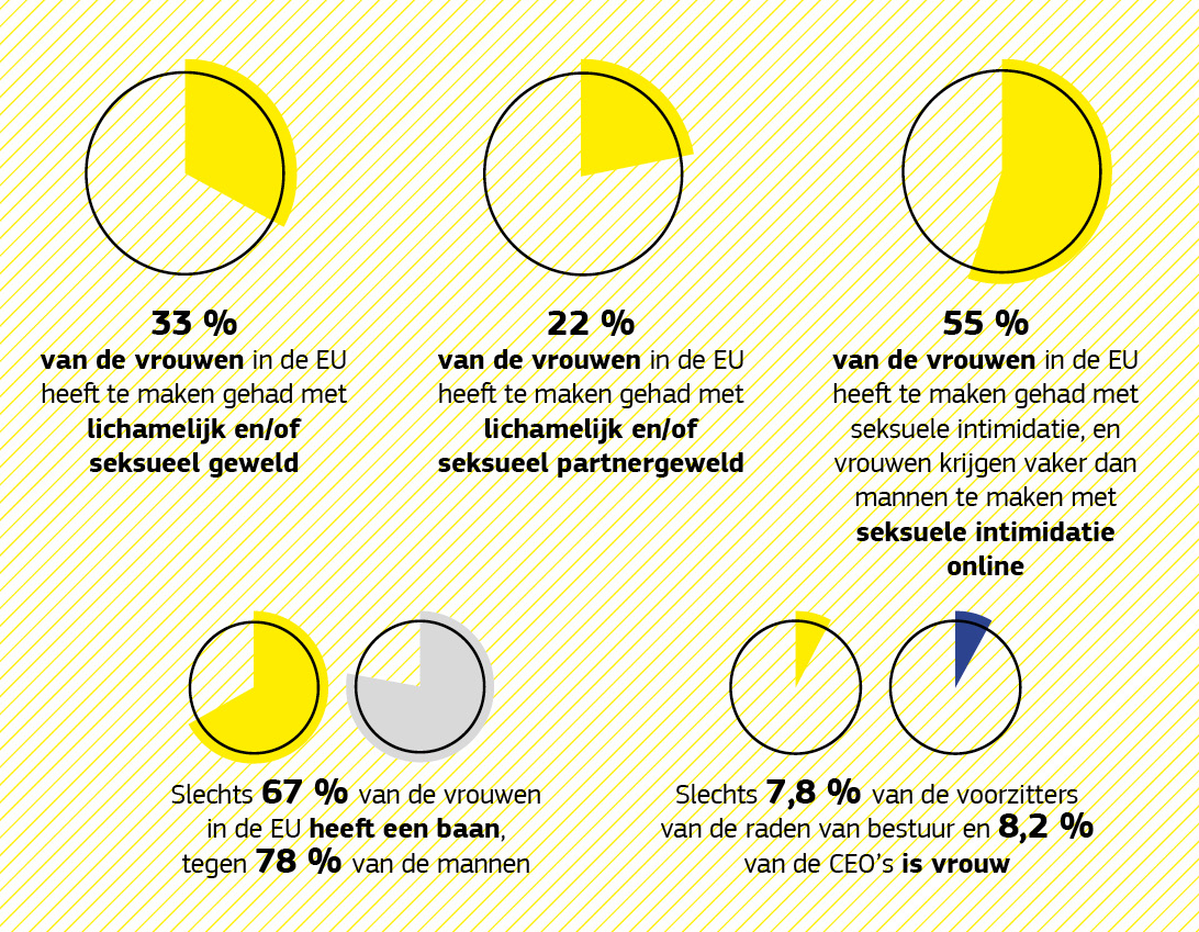 Een infografiek over gendervraagstukken.