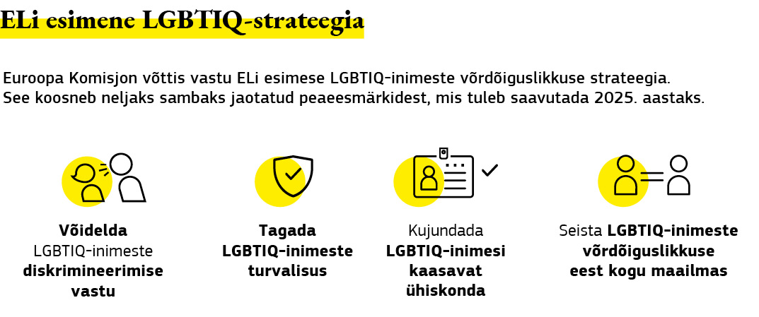 Joonis, millel võetakse kokku Euroopa Liidu esimene lesbide, geide, biseksuaalide, trans- ja intersooliste ning queer-inimeste strateegia.