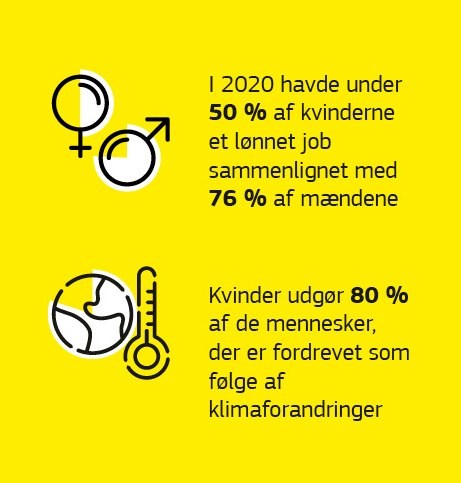 En grafisk fremstilling af data om kønsaspekter i forbindelse med udviklingssamarbejde.