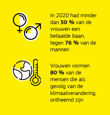 Infografiek over gendervraagstukken in de context van ontwikkelingssamenwerking.