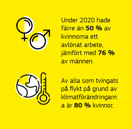 En infografik som visar uppgifter om jämställdhetsfrågor inom ramen för utvecklingssamarbetet.