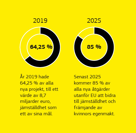 En infografik som visar uppgifter om jämställdhetsfrågor inom ramen för utvecklingssamarbetet.