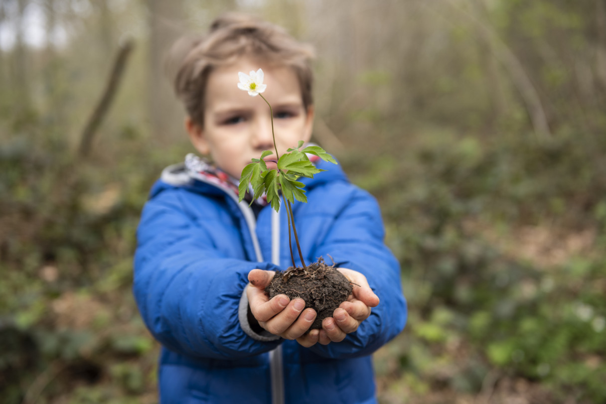 A young child, holding a flower ready to be planted, extends his hands towards the camera.