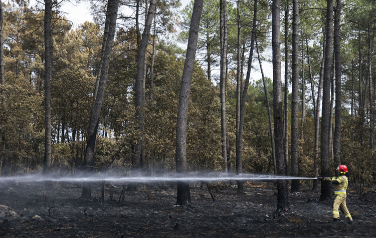 Um bombeiro lança um jato de água com uma mangueira de incêndio numa floresta.