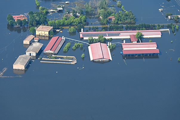Grupos de árboles y tejados de casas emergen de las extensas inundaciones que los rodean.