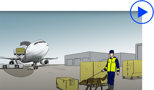 El vídeo explica el Sistema de Control de la Importación, el nuevo sistema aduanero de la Unión Europea, que mejora la gestión de riesgos y garantiza que las mercancías que entran en la Unión sean seguras. El sistema exige la presentación de datos de seguridad a las aduanas de la Unión antes de la llegada de las mercancías. Esto simplifica el proceso de despacho de aduana y protege a los ciudadanos de la Unión de envíos peligrosos e ilegales.