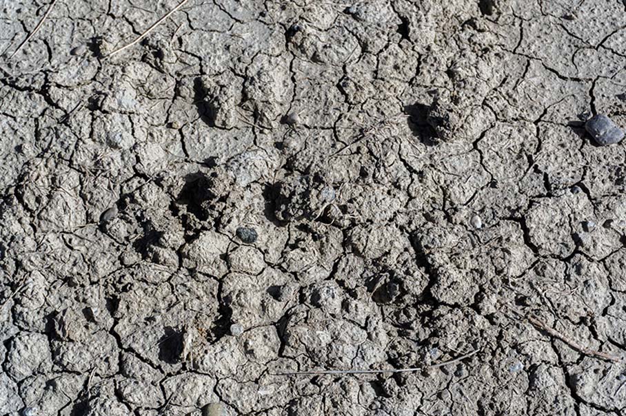 Een close-up van droge, gebarsten grond.