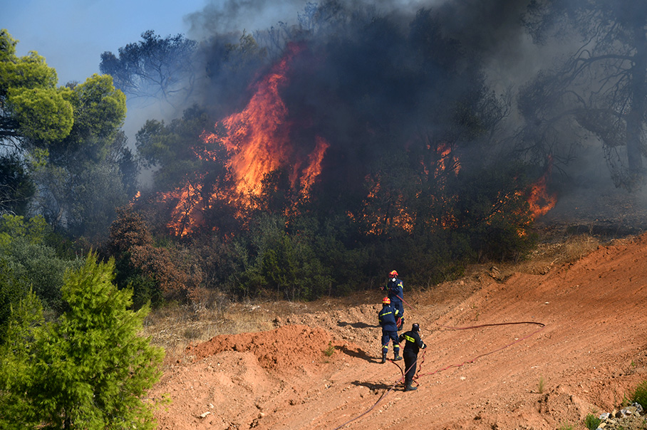 A group of three firefighters attempting to extinguish a small forest fire.
