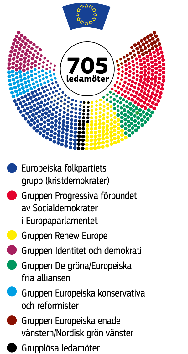 En bild av mandatfördelningen i Europaparlamentet.
