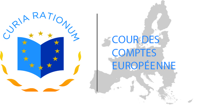 l audit public dans l union europeenne edition 2020