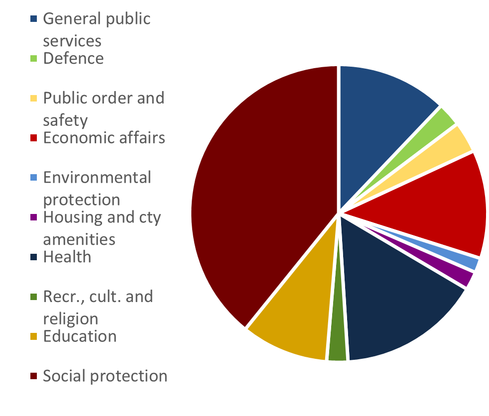 During the COVID-19 pandemic, public expenditure peaked, in particular in social protection, health and economic affairs