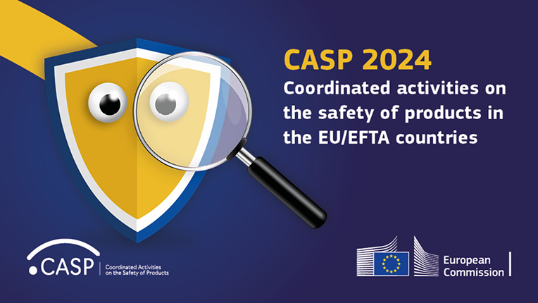 CASP 2024: Coordinated activities on the safety of products in EU/EFTA countries